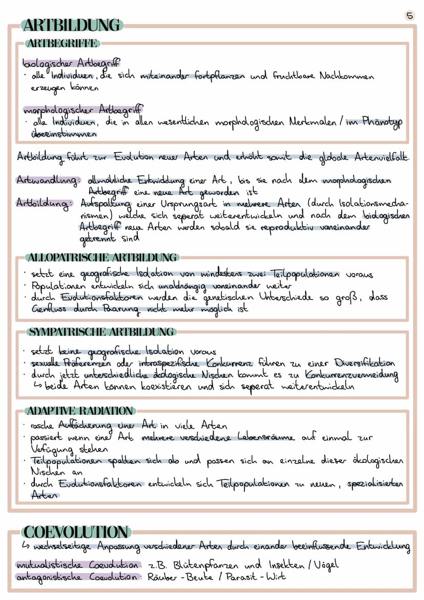 Evolution
Lehre der Entwicklung von Lebewesen
EVOLUTIONSTHEORIEN
CARL VON LINNÉ
1707 1778
Begründer der Systematik (Schöpfung durch Gott)
ve