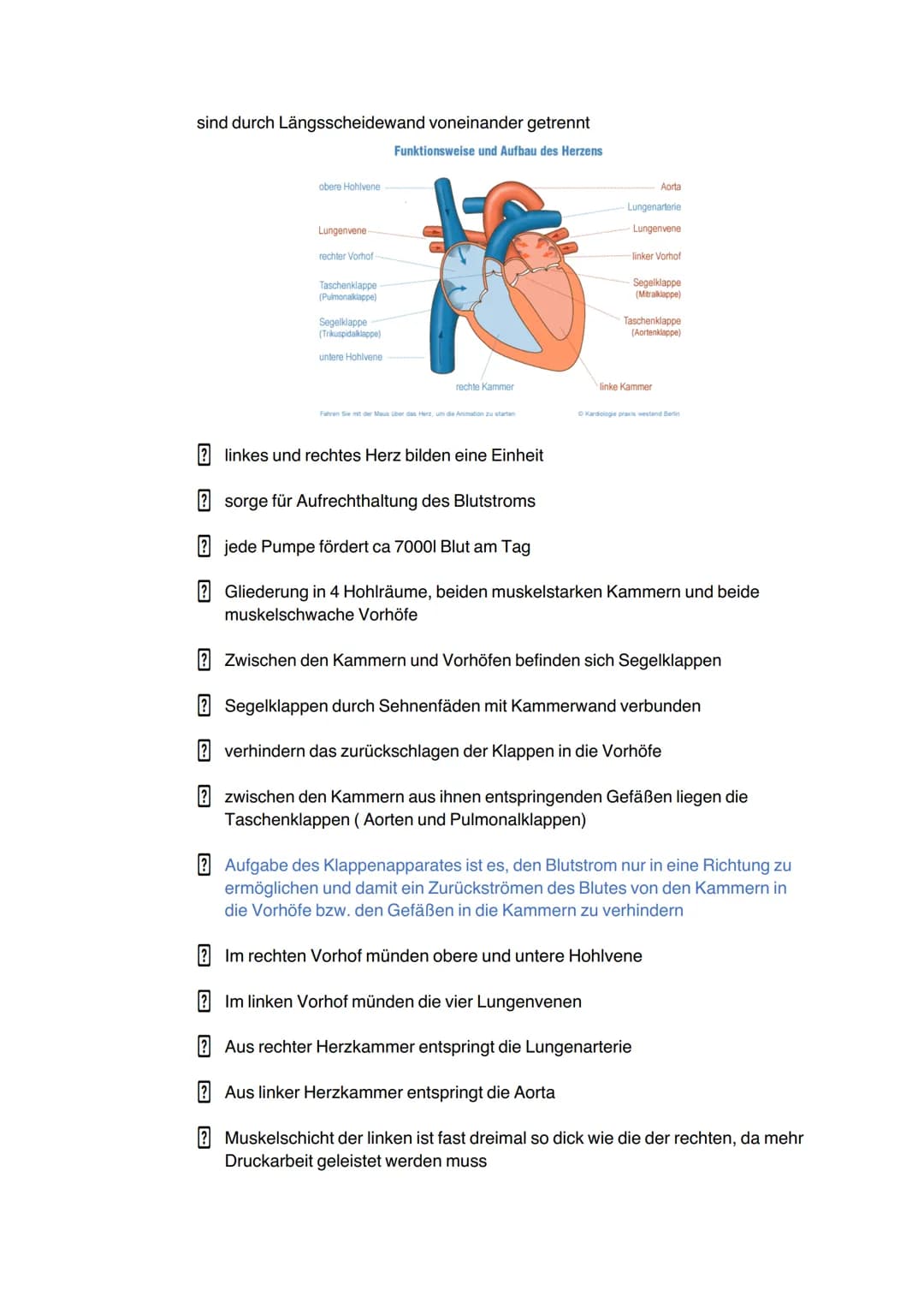 Allgemeine Informationen- Herz und Herz-Kreislaufsystem
Grundlagen Herzkreislaufsystem
verbindet alle Körperorgane zu einer funktionellen Ei