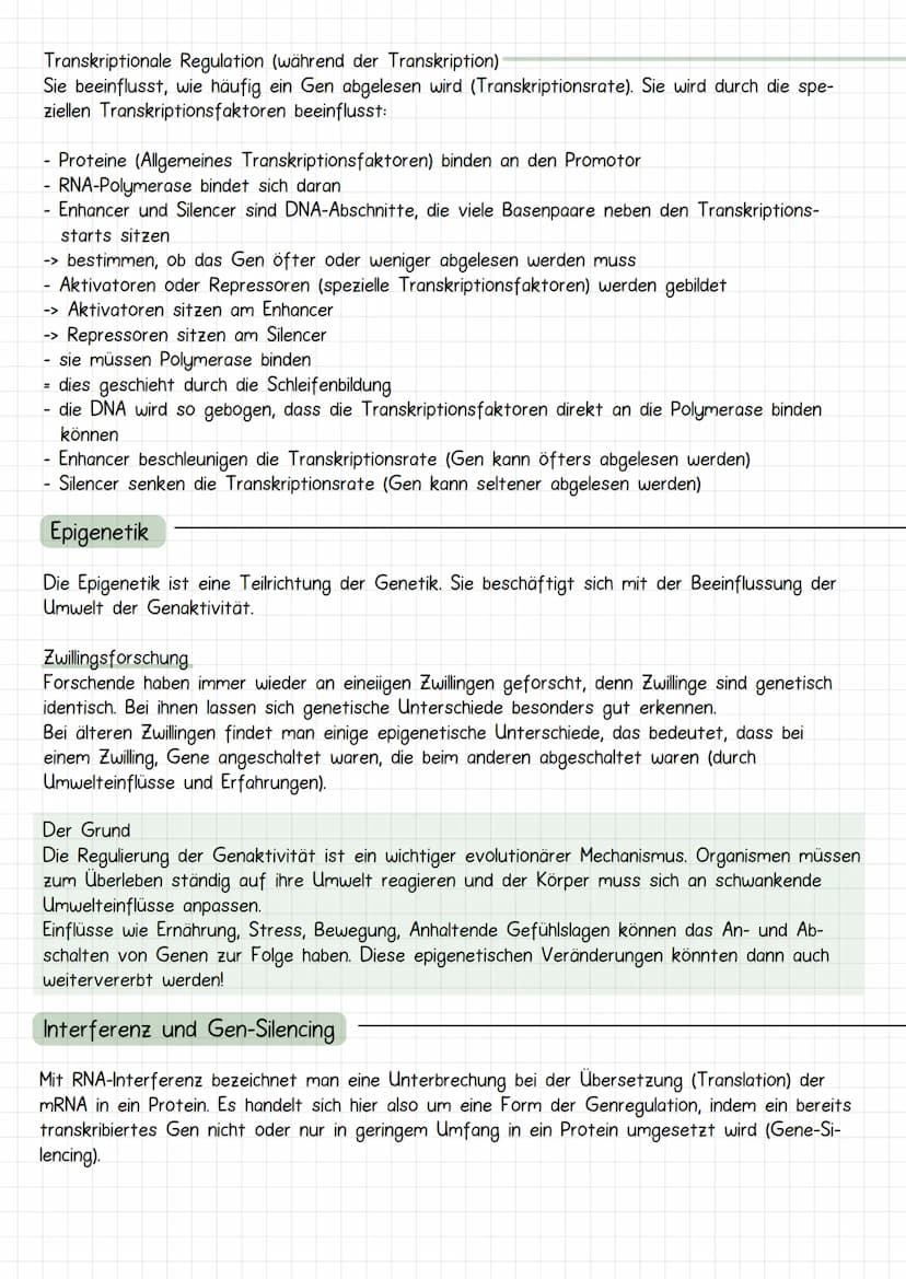 Gencit
Prokaryoten und Eukaryoten
Organellen: ohne, mit einfacher
und mit Doppel Membran
Eucyte
Prozyte
Grundeinheit alles
Lebendigen
Prozyt