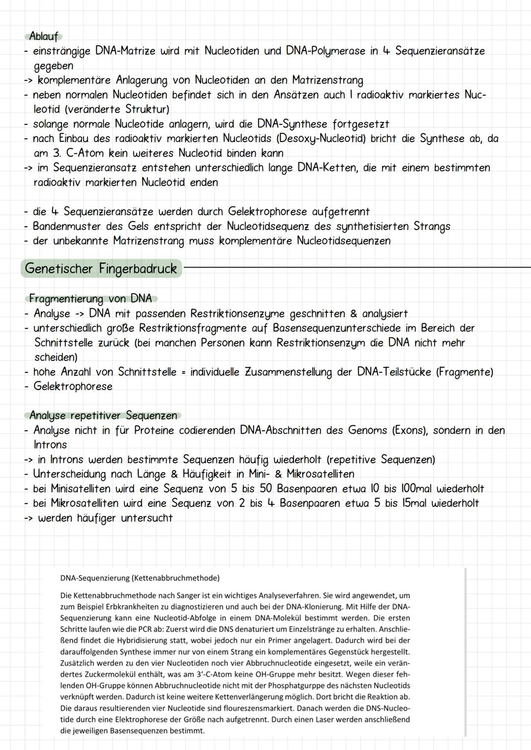 Gencit
Prokaryoten und Eukaryoten
Organellen: ohne, mit einfacher
und mit Doppel Membran
Eucyte
Prozyte
Grundeinheit alles
Lebendigen
Prozyt