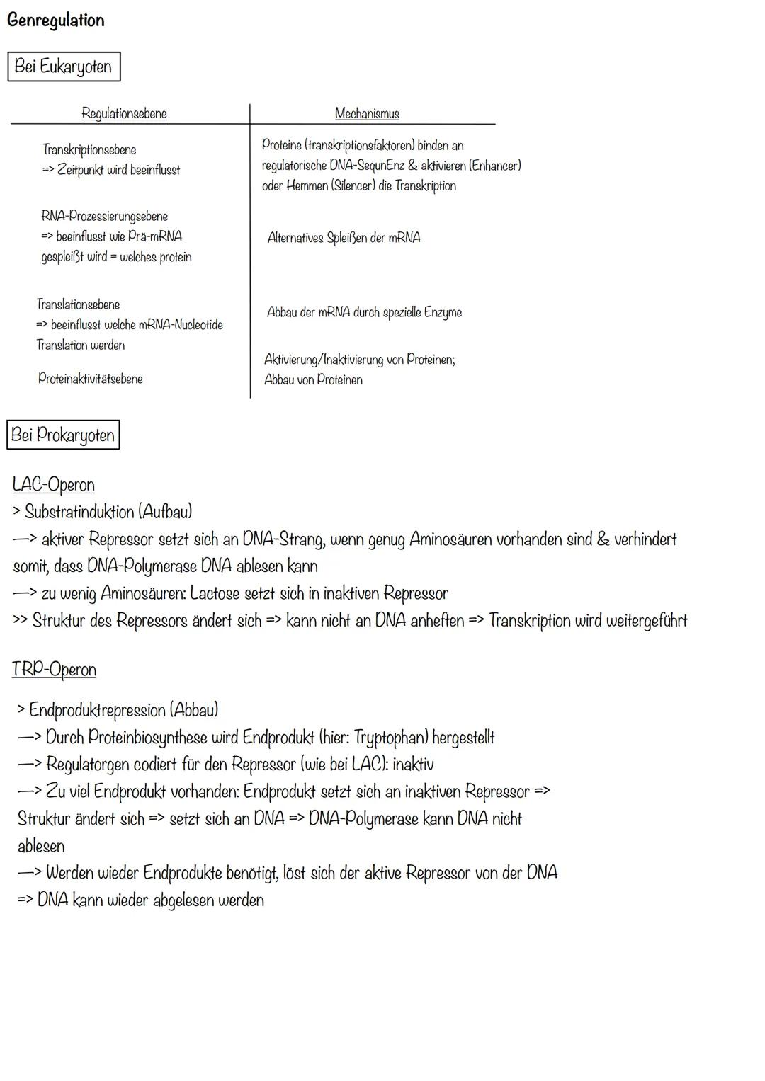 Transkription
>erster Schritt der PBS
>Aufgabe: DNA-Informationen außerhalb des Zellkerns bringen
>Phasen:
Initiation (Start):
>RNA-Polymera