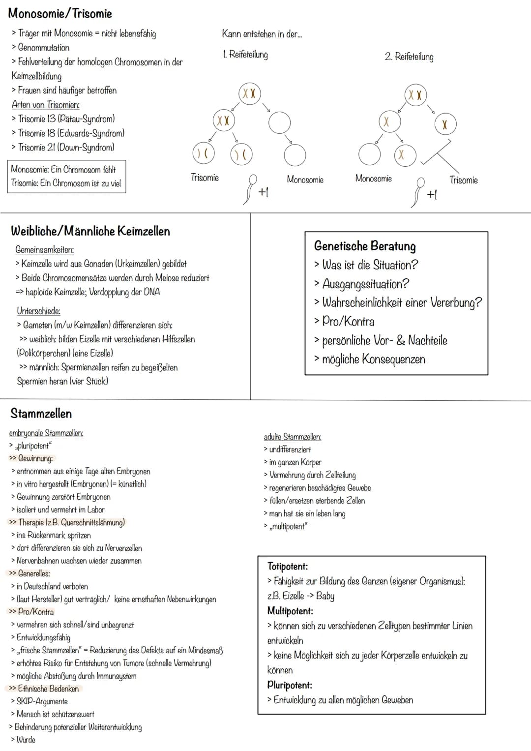 Transkription
>erster Schritt der PBS
>Aufgabe: DNA-Informationen außerhalb des Zellkerns bringen
>Phasen:
Initiation (Start):
>RNA-Polymera