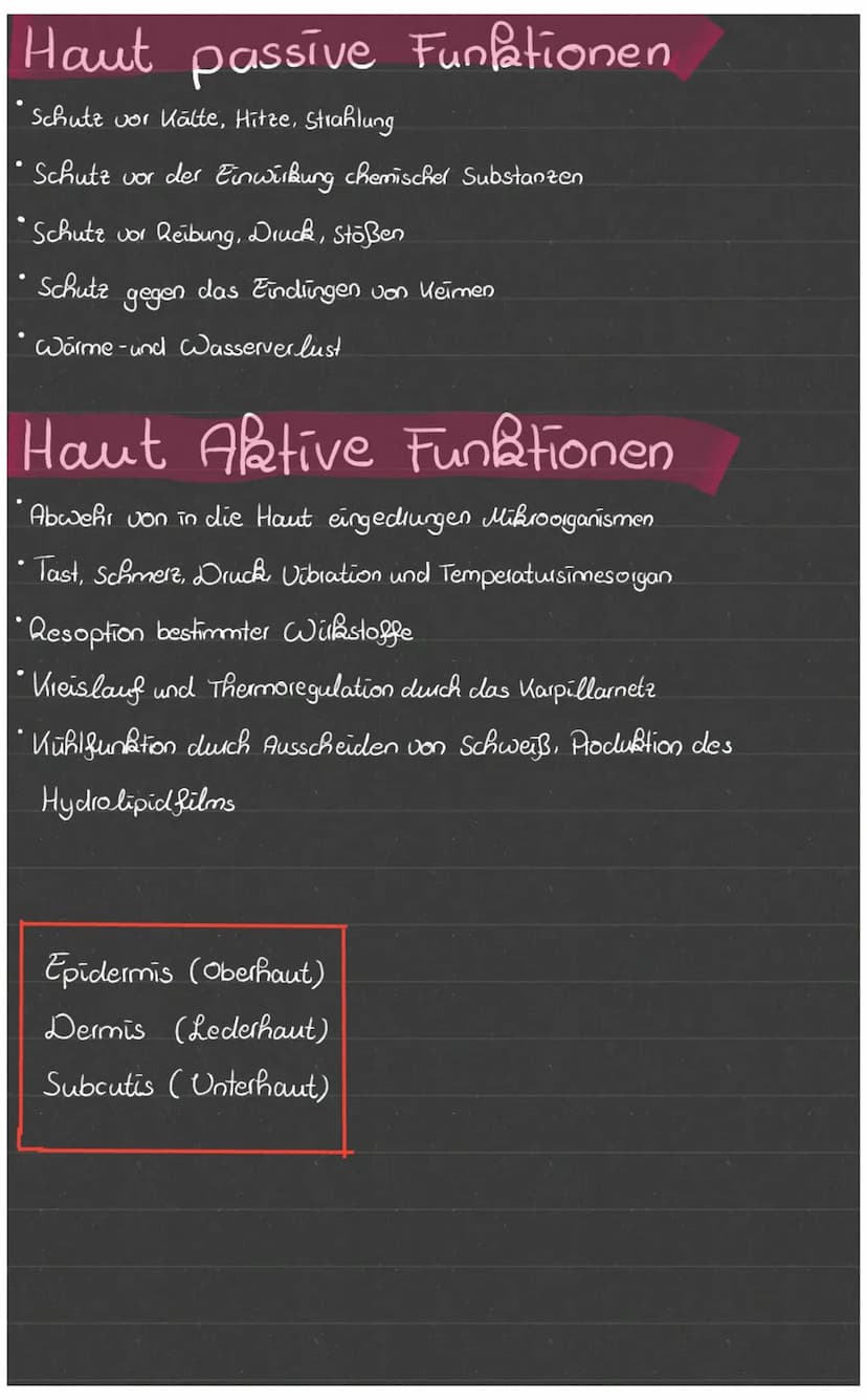 Die Haut ist das größte Organ des Körpers, ausgebreitet hat
sie eine Fläsche von ca 1,5-2m², sie ist ca 1-2 mm dick und
wiegt ca 3-4 Bg.
Die