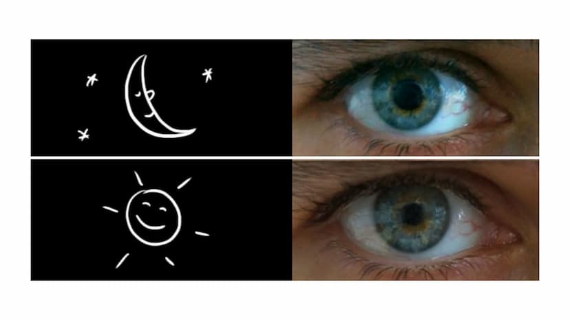 DAS AUGE
Von Kiwi Aufbau des Auges
Bindehaut
Vordere Augenkammer
Hornhaut
Pupille (Öffnung)
Regenbogenhaut (Iris) -
Tränenflüssigkeit
brill