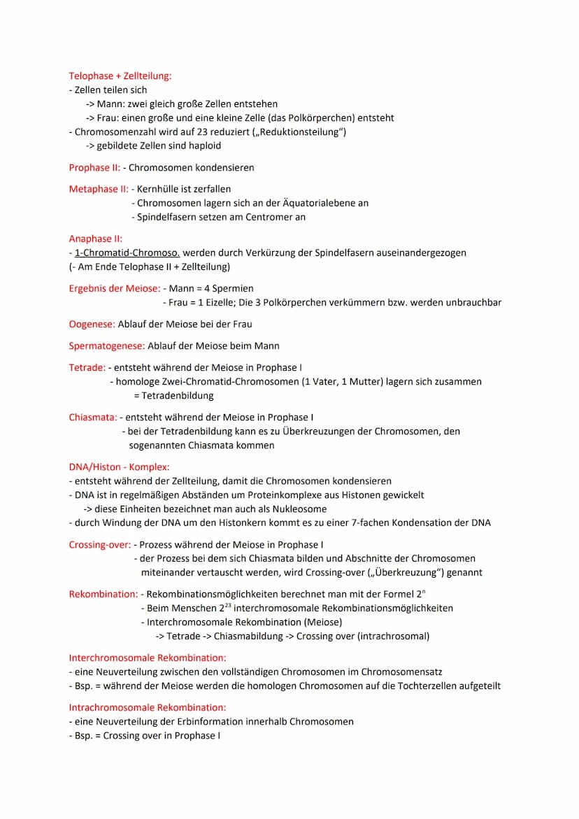 Meiose und Rekombination
Chromosom: - besteht aus zwei Chromatiden; durch das Centromer miteinander verbunden
-> 1-Chromatidchromosom /2-Chr