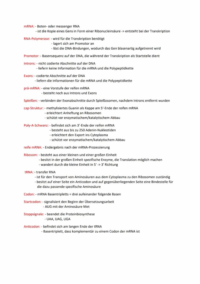 Meiose und Rekombination
Chromosom: - besteht aus zwei Chromatiden; durch das Centromer miteinander verbunden
-> 1-Chromatidchromosom /2-Chr