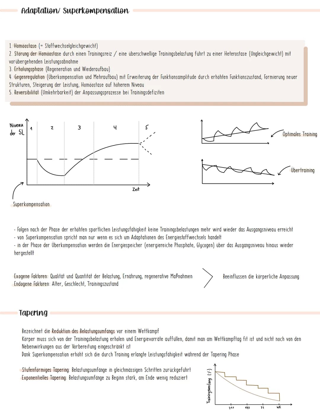  Sport Lernzettel: Sportliches Training
Trainingparameter
Trainingsziele:
Motorische Trainingsziele: Verbesserung von
konditionellen Fähigke