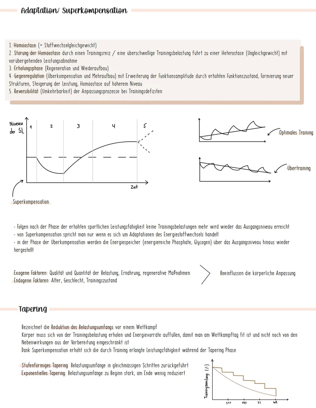  Sport Lernzettel: Sportliches Training
Trainingparameter
Trainingsziele:
Motorische Trainingsziele: Verbesserung von
konditionellen Fähigke