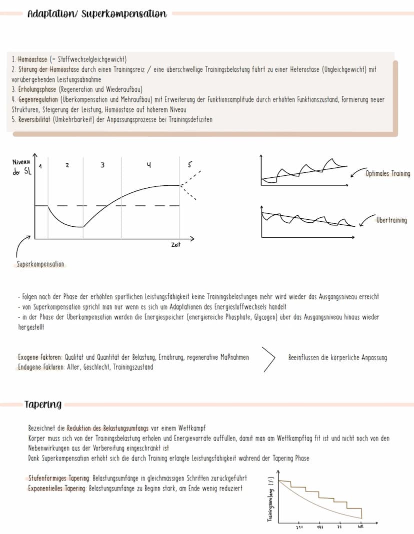  Sport Lernzettel: Sportliches Training
Trainingparameter
Trainingsziele:
Motorische Trainingsziele: Verbesserung von
konditionellen Fähigke