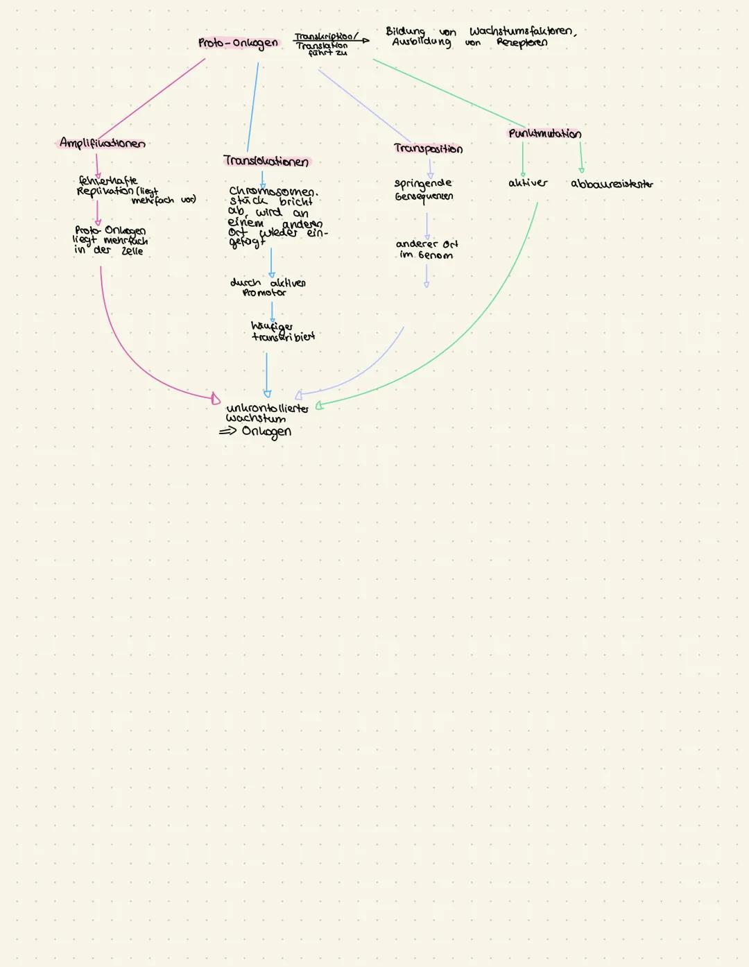 # Enstehung von Krebs

Proto-onkogene steuern und fordern Zellwachstum und Teilung
Tumorsuppressorgene hemmen und unterdrücken die Zellteilu