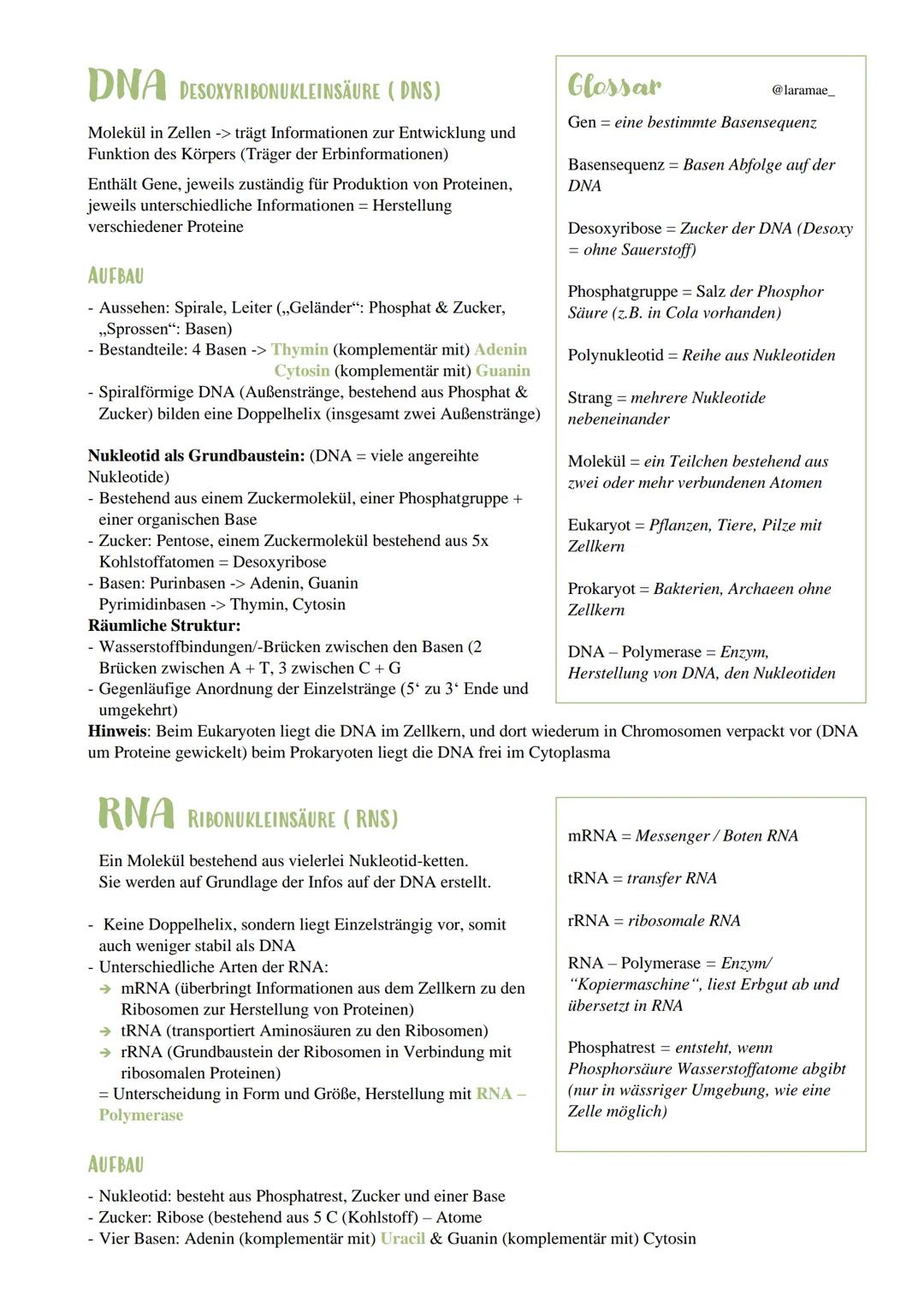 DNA und RNA