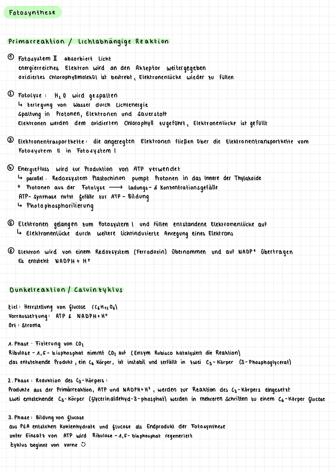 Fotosynthese
• Absorption von Licht und die Umwandlung in chemische Energie
↳
6 CO₂ + 6 H ₂0
Kohlenstoffdioxid + Wasser
Vorgang: Überblick
F