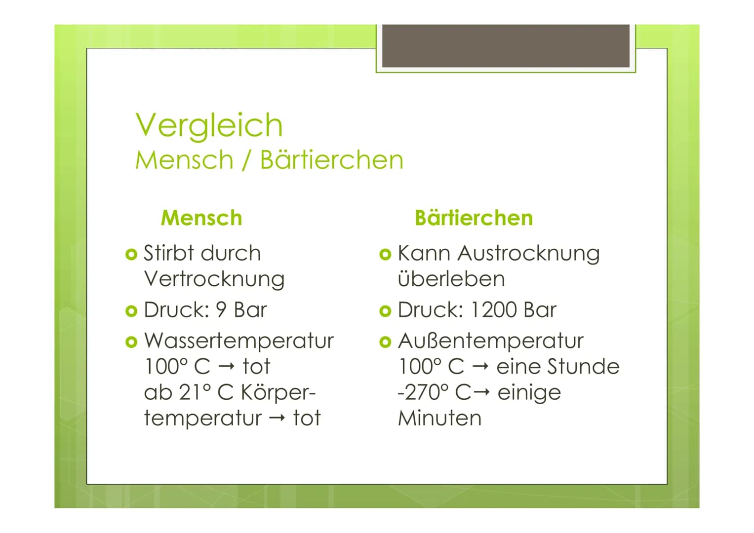 Bärtierchen
(Tardigrada)
von Celina, Janina, Sören Pharynx
Eyespot
Fakten
o 1200 Arten bekannt
o 0,5 mm groß
Körper: Aus 5 Segmenten
Cerebra