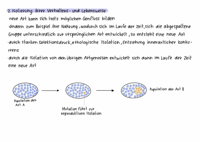 Sympatrische Arthilolung
·Bildung neuer Arten ohne geografische Isolation, entsteht im selben Verbreitungsgebiet
·neve Art entsteht aus eine