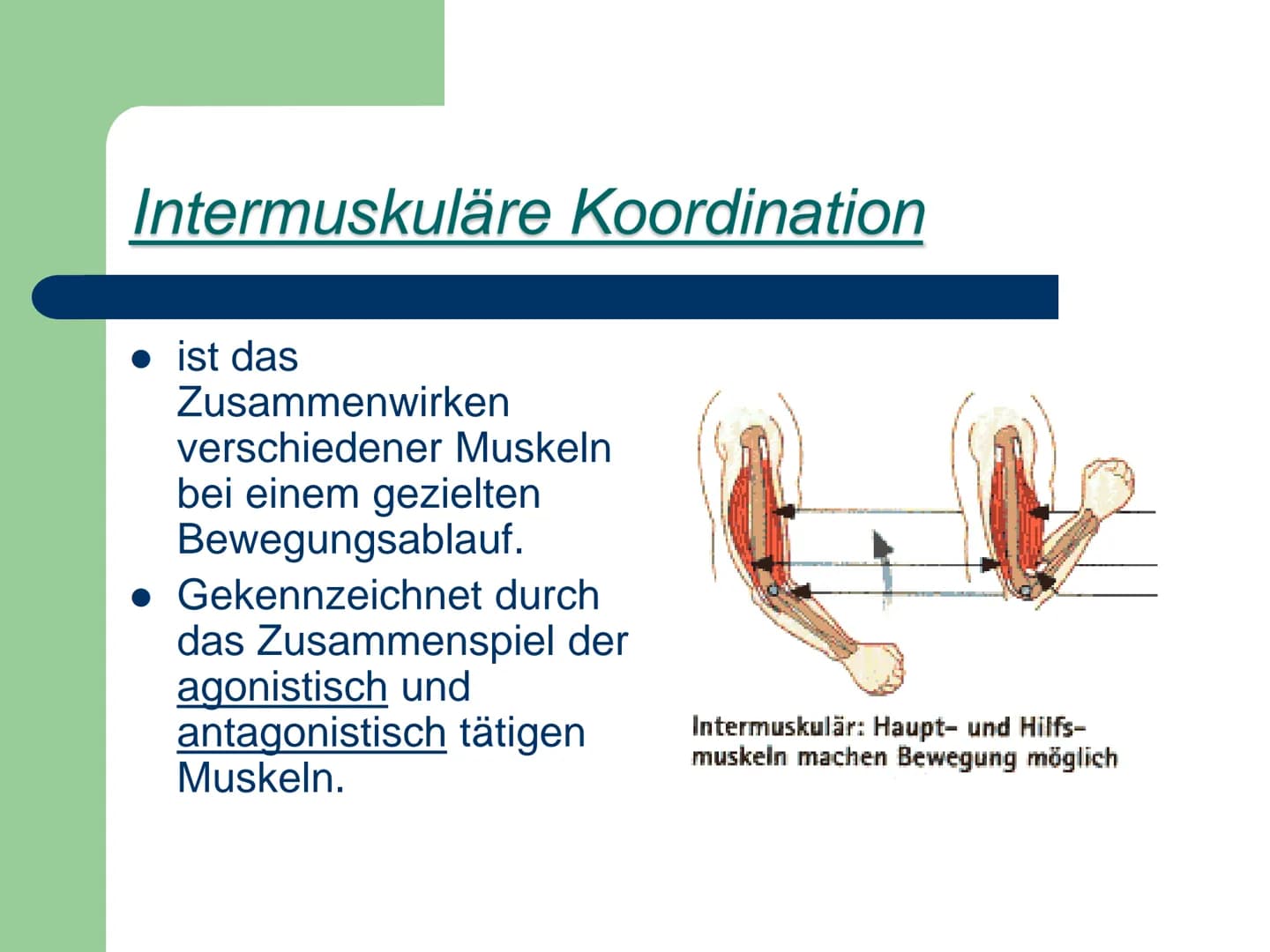 Kraft
ist die Fähigkeit des Nerv-
Muskelsystems, durch
Muskeltätigkeit Widerstände
● zu überwinden,
• ihnen entgegen zu wirken
● bzw. sie zu