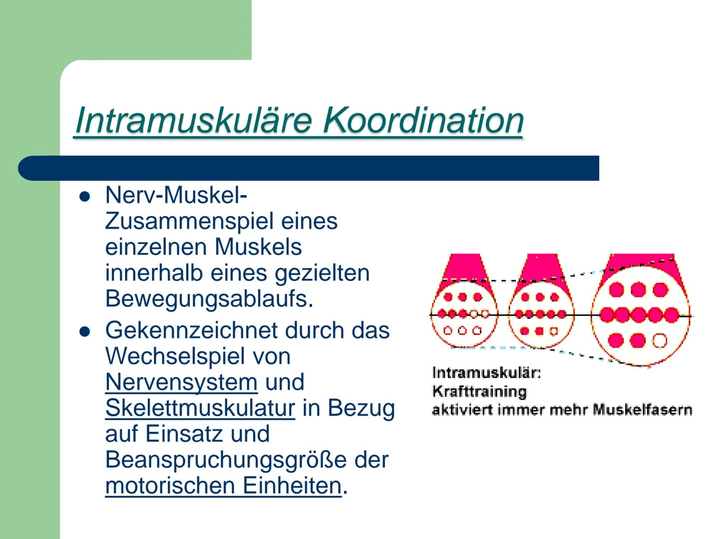 Kraft
ist die Fähigkeit des Nerv-
Muskelsystems, durch
Muskeltätigkeit Widerstände
● zu überwinden,
• ihnen entgegen zu wirken
● bzw. sie zu