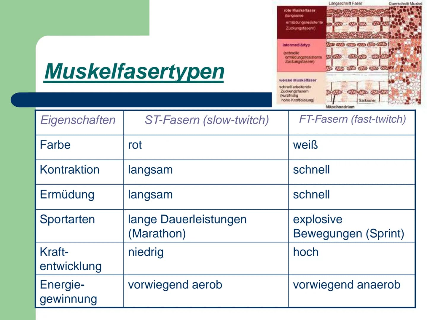 Kraft
ist die Fähigkeit des Nerv-
Muskelsystems, durch
Muskeltätigkeit Widerstände
● zu überwinden,
• ihnen entgegen zu wirken
● bzw. sie zu