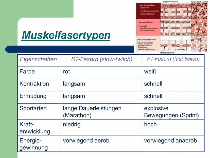 Kraft
ist die Fähigkeit des Nerv-
Muskelsystems, durch
Muskeltätigkeit Widerstände
● zu überwinden,
• ihnen entgegen zu wirken
● bzw. sie zu