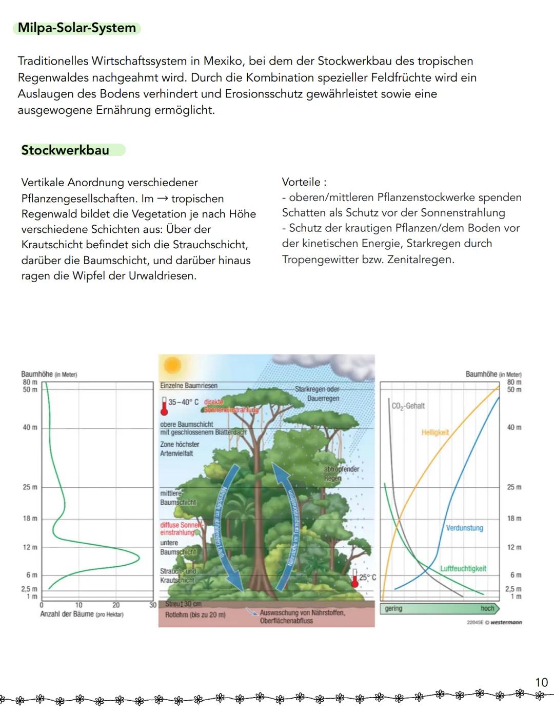 Strukturwandel
Wirtschaftssektoren
W
Primärer Sektor:
Urproduktion (Erstellung materieller Güter organischer Natur)
Landwirtschaft, Forstwir