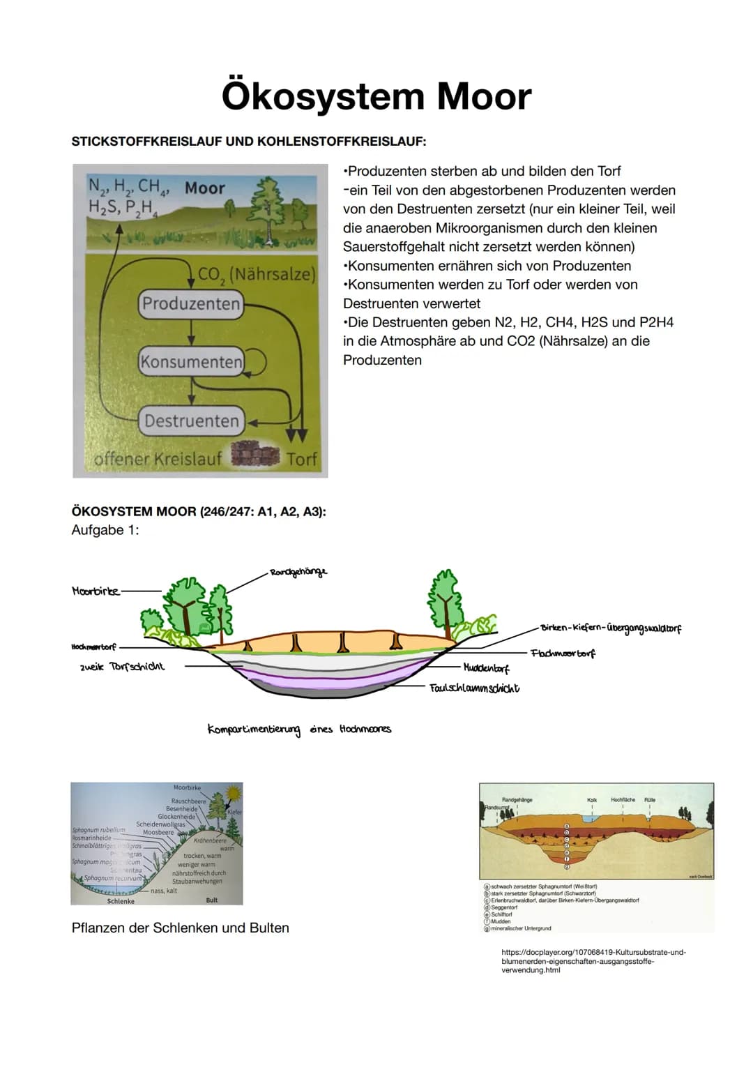 STICKSTOFFKREISLAUF UND KOHLENSTOFFKREISLAUF:
N₂, H₂, CH, Moor
H₂S, P₂H
Moorbirke
Konsumenten
offener Kreislauf
Hochmeortorf
zueik Torfschic
