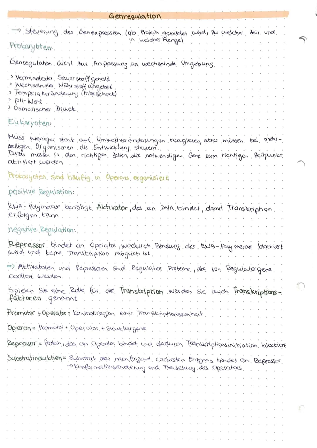 Genregulation
-- Steyerung der Gen expression lob Protein gebildet wird, zu welcher Zeit und.
in welcher Menge).
Probarybten:
Genregulation 