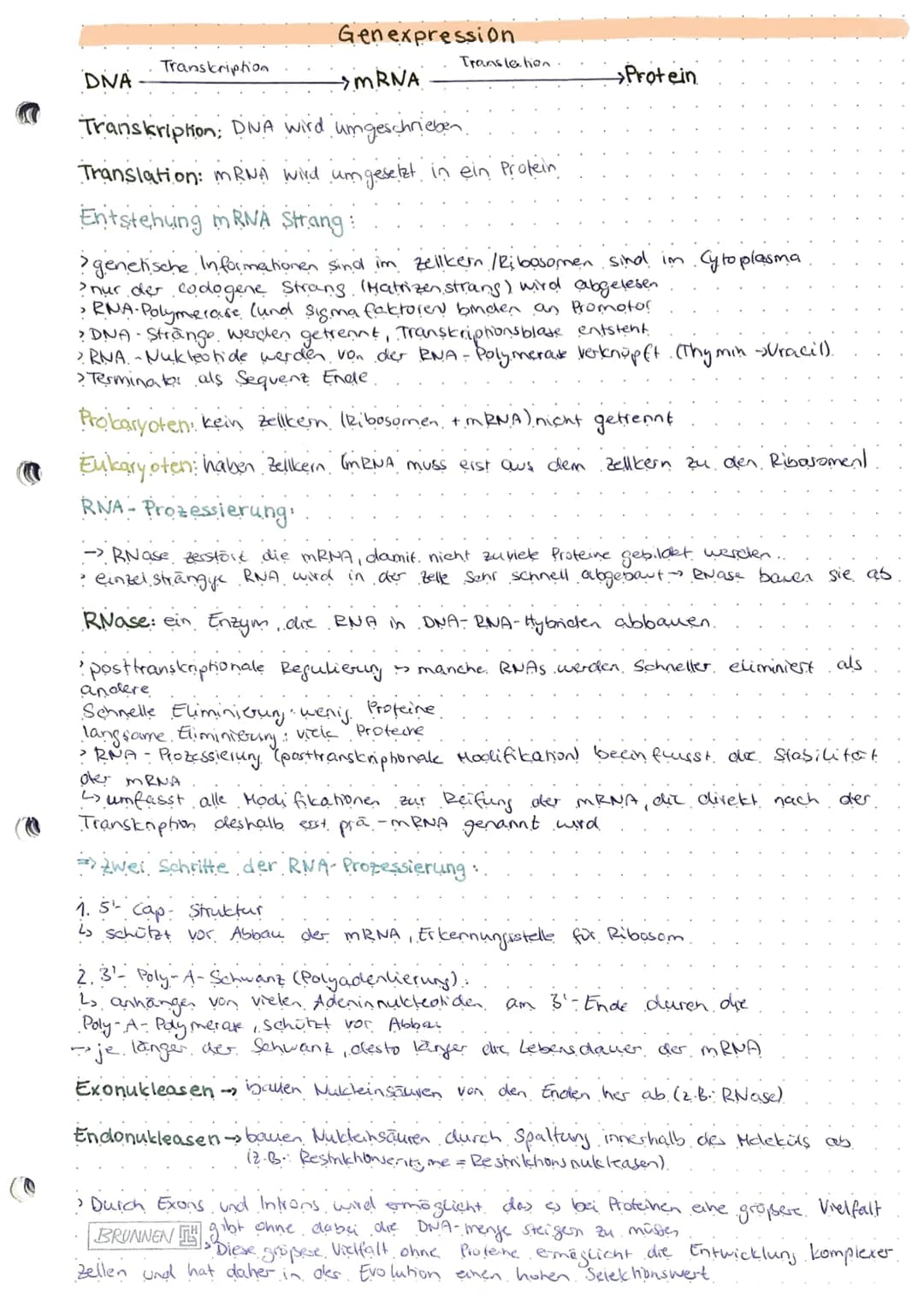 Genregulation
-- Steyerung der Gen expression lob Protein gebildet wird, zu welcher Zeit und.
in welcher Menge).
Probarybten:
Genregulation 
