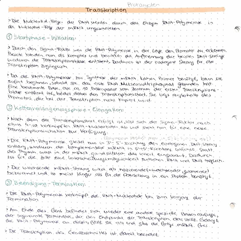 Genregulation
-- Steyerung der Gen expression lob Protein gebildet wird, zu welcher Zeit und.
in welcher Menge).
Probarybten:
Genregulation 