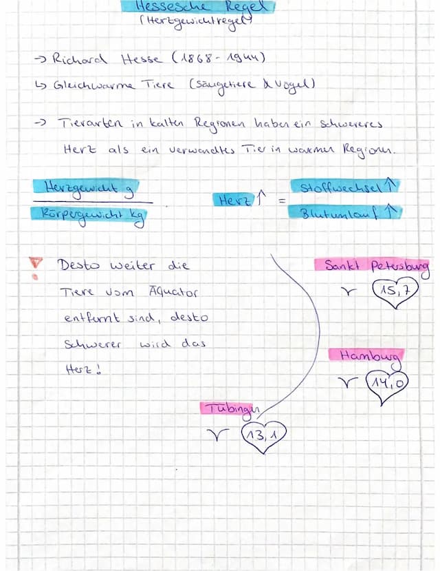 Know Hessesche Regel/ Herzgewichtregel thumbnail