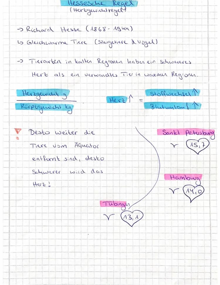 Know Hessesche Regel/ Herzgewichtregel thumbnail