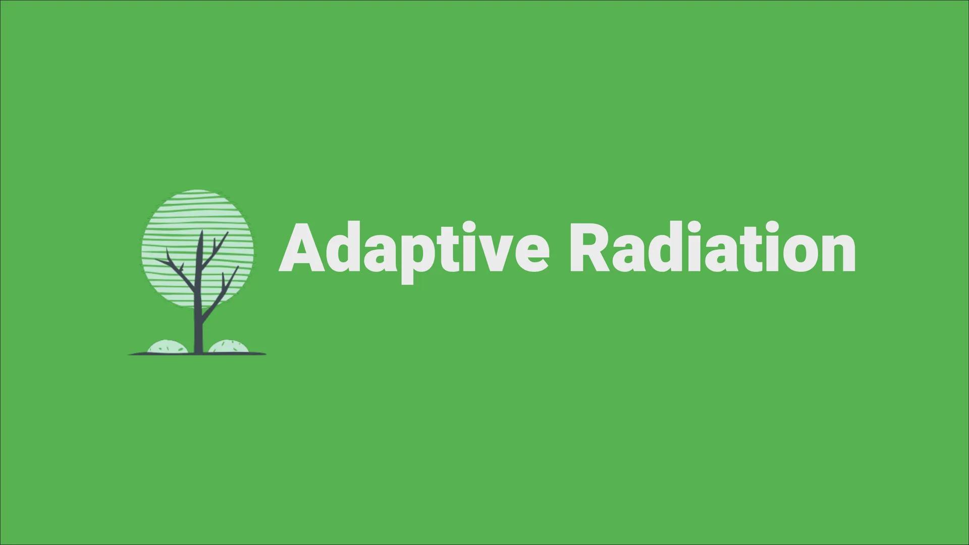 Adaptive Radiation ●
●
Inhaltsverzeichnis
Definition
Wie läuft die Adaptive Radiation ab?
Beispiel: Darwin Finken
Quellen Definition
Adaptio