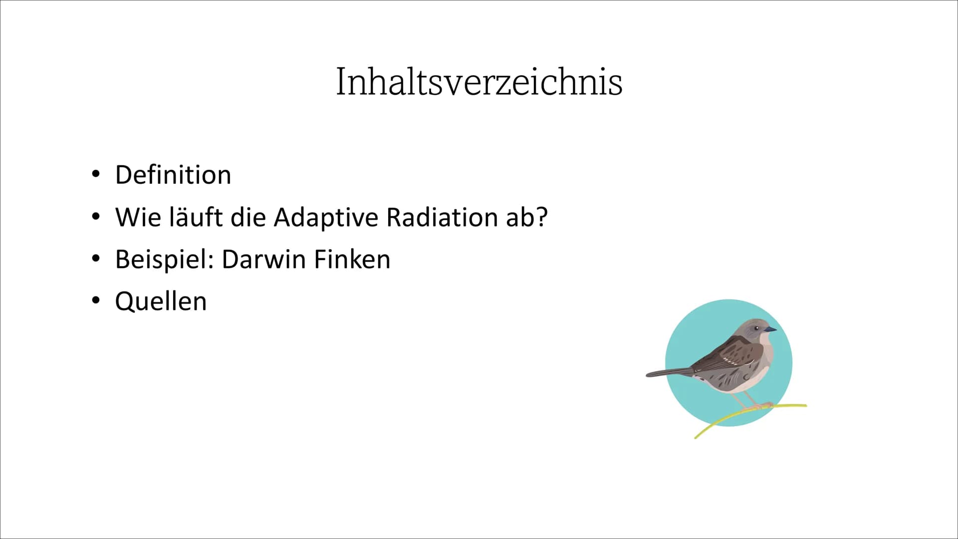 Adaptive Radiation ●
●
Inhaltsverzeichnis
Definition
Wie läuft die Adaptive Radiation ab?
Beispiel: Darwin Finken
Quellen Definition
Adaptio