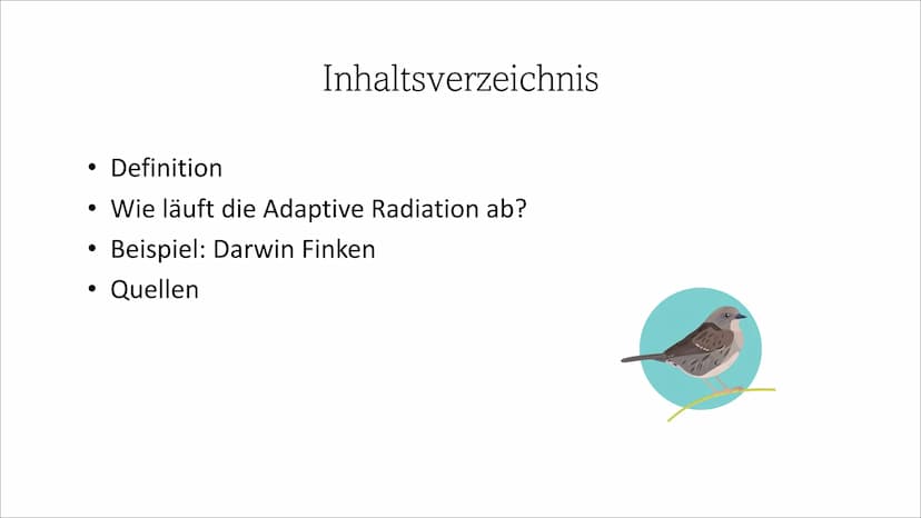 Adaptive Radiation ●
●
Inhaltsverzeichnis
Definition
Wie läuft die Adaptive Radiation ab?
Beispiel: Darwin Finken
Quellen Definition
Adaptio