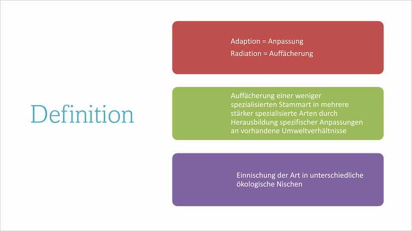 Adaptive Radiation ●
●
Inhaltsverzeichnis
Definition
Wie läuft die Adaptive Radiation ab?
Beispiel: Darwin Finken
Quellen Definition
Adaptio