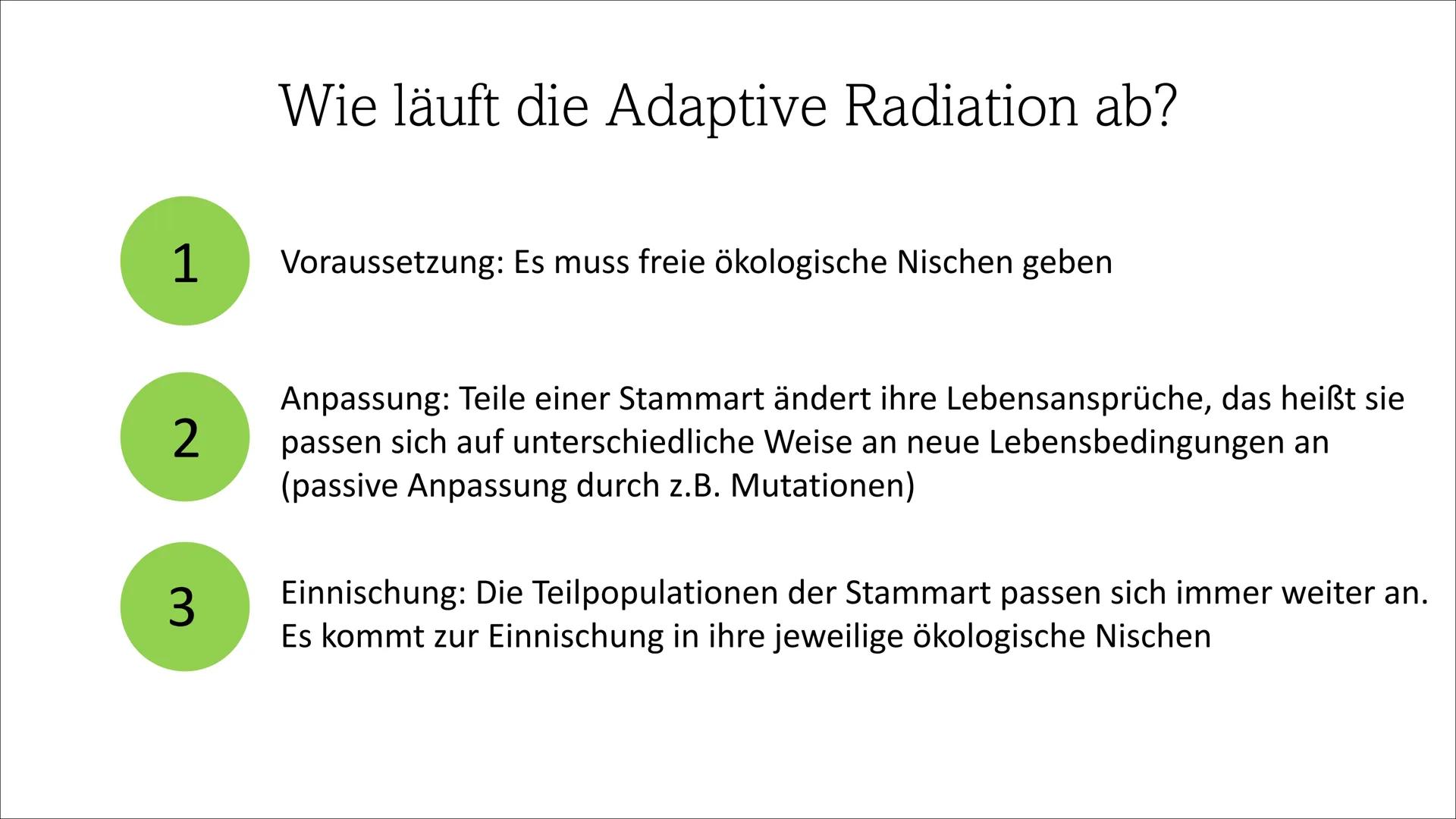 Adaptive Radiation ●
●
Inhaltsverzeichnis
Definition
Wie läuft die Adaptive Radiation ab?
Beispiel: Darwin Finken
Quellen Definition
Adaptio