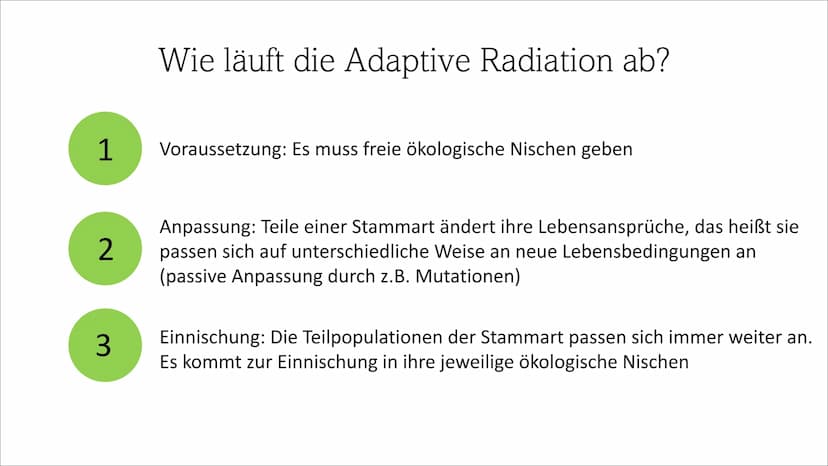 Adaptive Radiation ●
●
Inhaltsverzeichnis
Definition
Wie läuft die Adaptive Radiation ab?
Beispiel: Darwin Finken
Quellen Definition
Adaptio