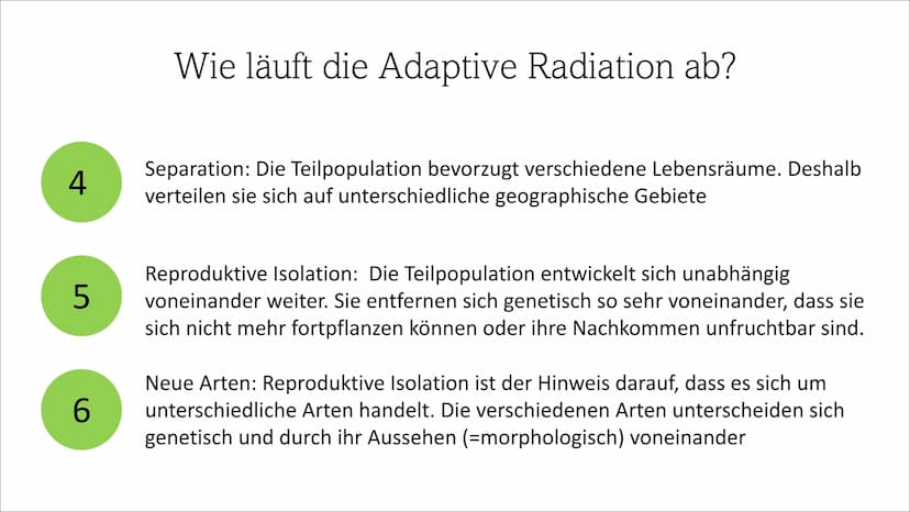Adaptive Radiation ●
●
Inhaltsverzeichnis
Definition
Wie läuft die Adaptive Radiation ab?
Beispiel: Darwin Finken
Quellen Definition
Adaptio