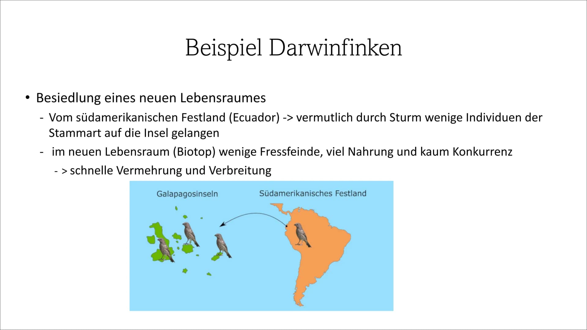 Adaptive Radiation ●
●
Inhaltsverzeichnis
Definition
Wie läuft die Adaptive Radiation ab?
Beispiel: Darwin Finken
Quellen Definition
Adaptio