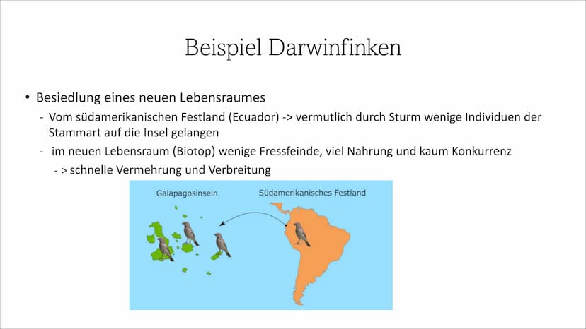 Adaptive Radiation ●
●
Inhaltsverzeichnis
Definition
Wie läuft die Adaptive Radiation ab?
Beispiel: Darwin Finken
Quellen Definition
Adaptio