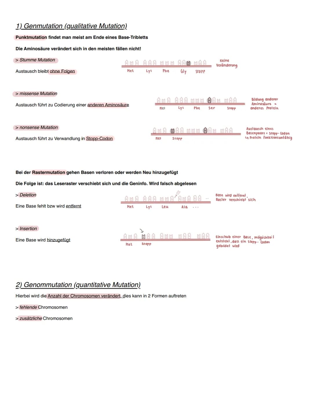 Genetik
Molekularer Aufbau der DNA
Die DNA als ein riesiges Kettenmolekül bestehend aus zwei Polynucleotidsträngen, welche antiparallel verl