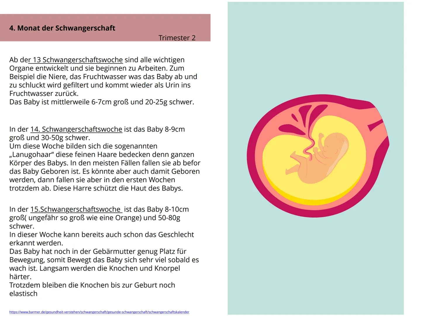 Schwangerschaft Inhaltsverzeichnis
1. Wie kommt es zu einer Schwangerschaft S.4-5
2. Anzeichen bei einer Schwangerschaft. S.6-7
3. Ablauf de
