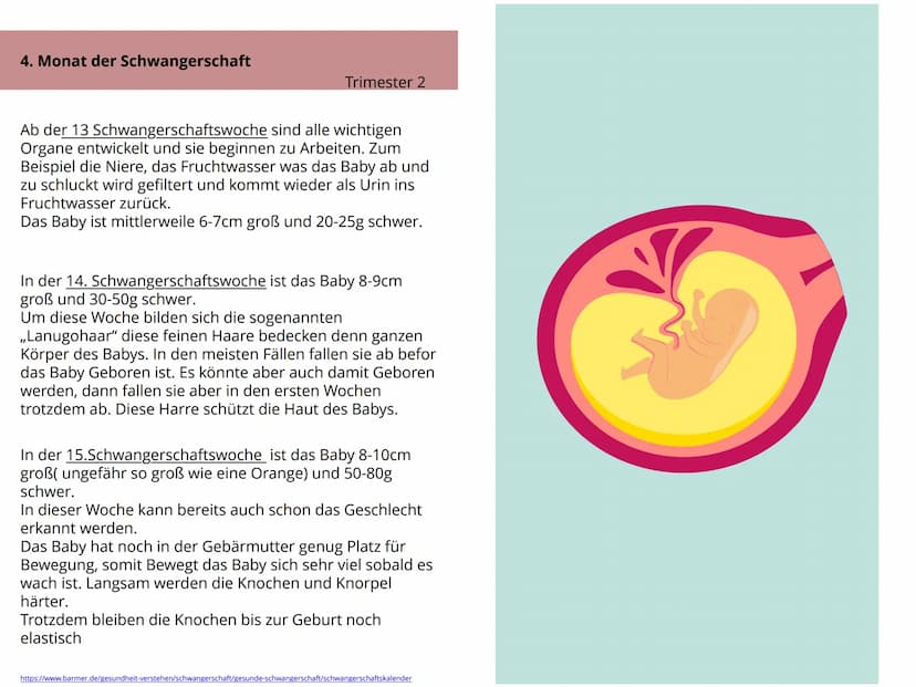 Schwangerschaft Inhaltsverzeichnis
1. Wie kommt es zu einer Schwangerschaft S.4-5
2. Anzeichen bei einer Schwangerschaft. S.6-7
3. Ablauf de