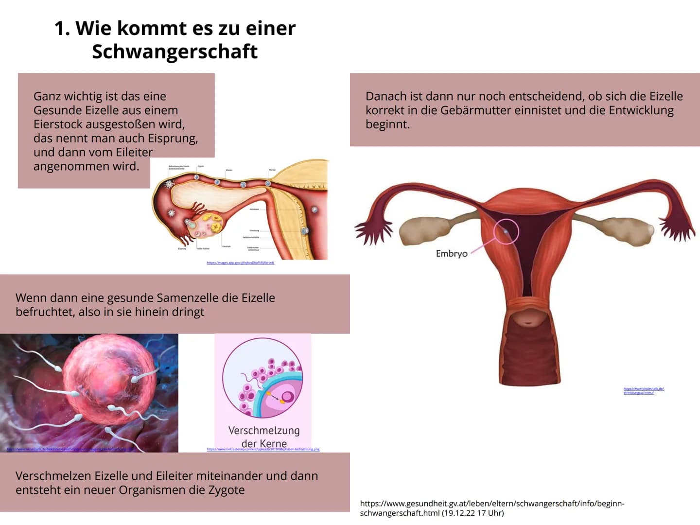 Schwangerschaft Inhaltsverzeichnis
1. Wie kommt es zu einer Schwangerschaft S.4-5
2. Anzeichen bei einer Schwangerschaft. S.6-7
3. Ablauf de