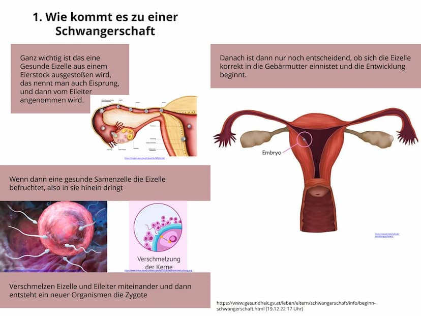 Schwangerschaft Inhaltsverzeichnis
1. Wie kommt es zu einer Schwangerschaft S.4-5
2. Anzeichen bei einer Schwangerschaft. S.6-7
3. Ablauf de