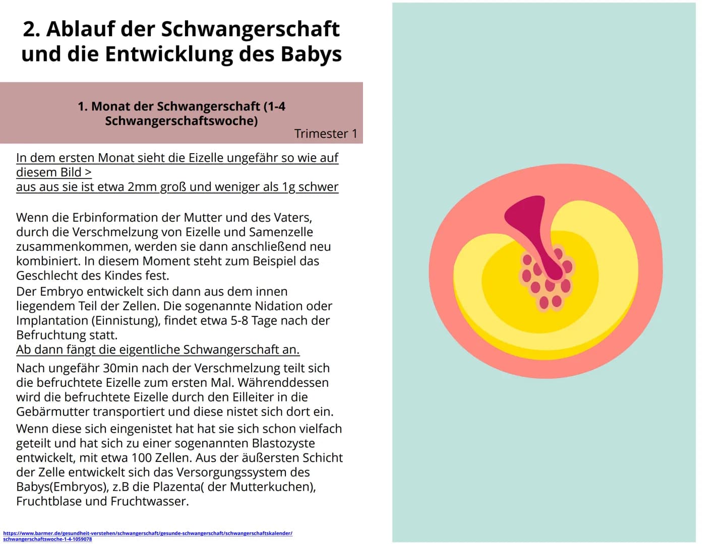 Schwangerschaft Inhaltsverzeichnis
1. Wie kommt es zu einer Schwangerschaft S.4-5
2. Anzeichen bei einer Schwangerschaft. S.6-7
3. Ablauf de