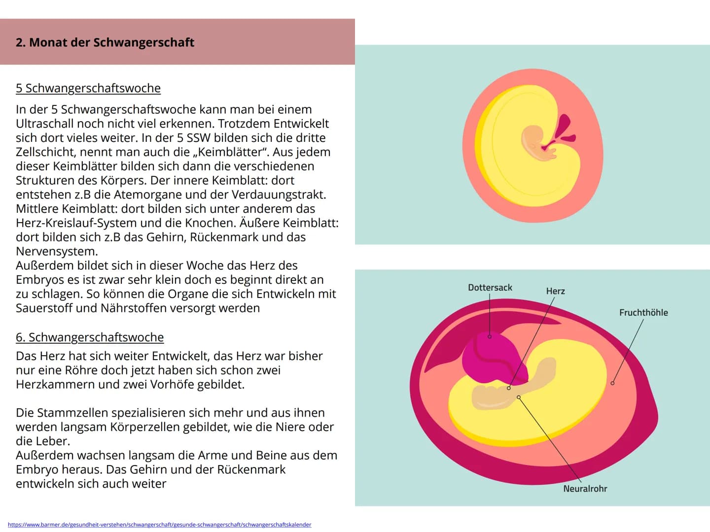 Schwangerschaft Inhaltsverzeichnis
1. Wie kommt es zu einer Schwangerschaft S.4-5
2. Anzeichen bei einer Schwangerschaft. S.6-7
3. Ablauf de