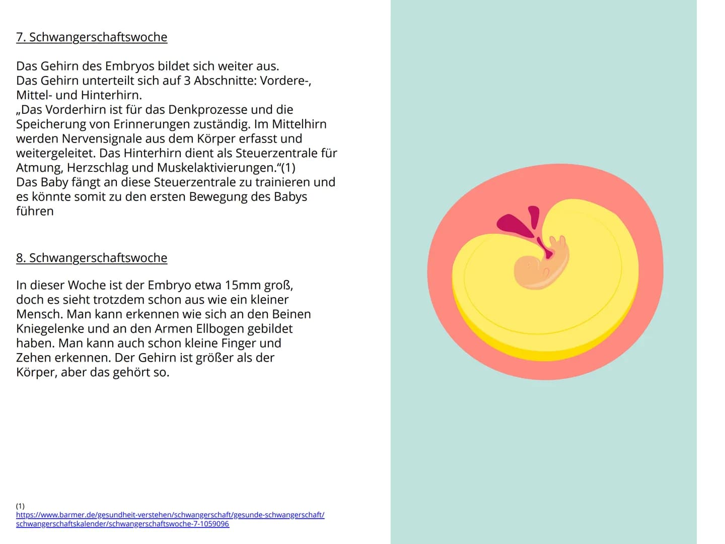 Schwangerschaft Inhaltsverzeichnis
1. Wie kommt es zu einer Schwangerschaft S.4-5
2. Anzeichen bei einer Schwangerschaft. S.6-7
3. Ablauf de