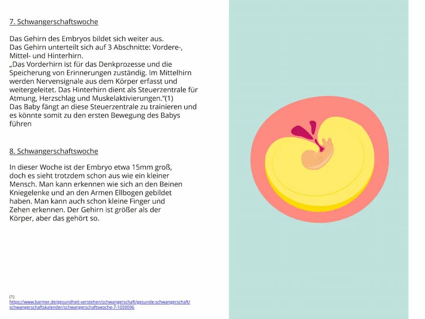 Schwangerschaft Inhaltsverzeichnis
1. Wie kommt es zu einer Schwangerschaft S.4-5
2. Anzeichen bei einer Schwangerschaft. S.6-7
3. Ablauf de