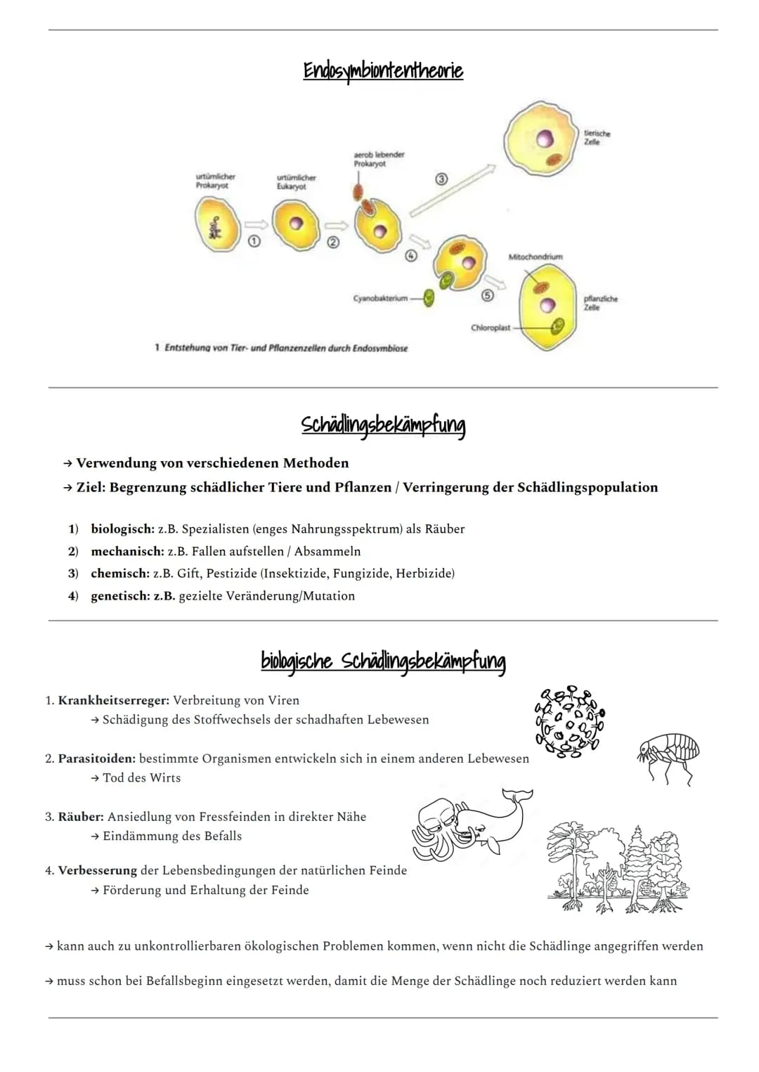 Abiotische Umweltfaktoren
ökologie
Sonnenlicht
Wind
Luftfeuchtigkeit
Kohlenstoffdioxid
Sauerstoff
Schadstoffe
Temperatur
Niederschlag
Boden
