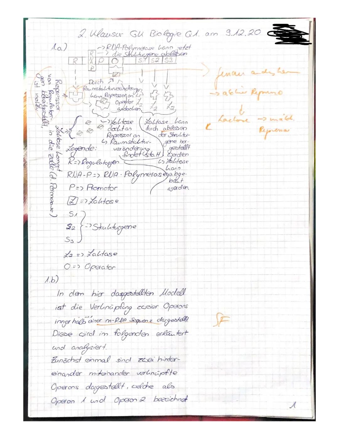 Das Operon-Modell einfach erklärt: Lac und Trp Operon