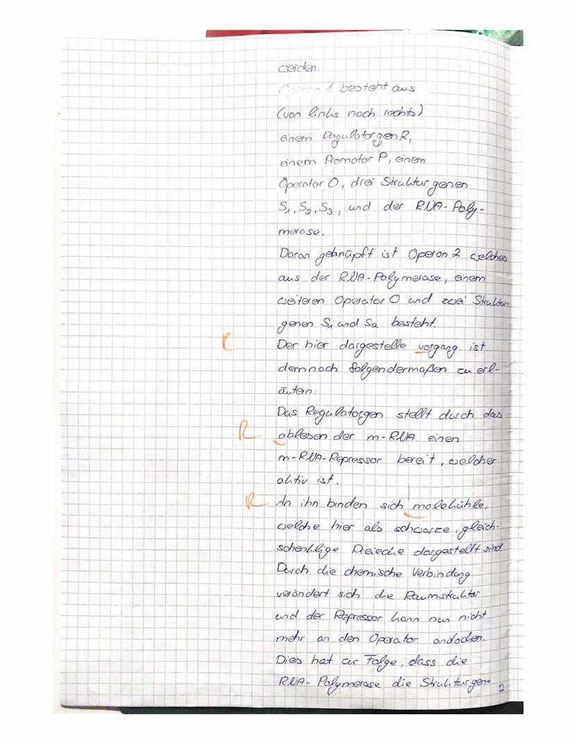 1.0)
gen
ist inaktiv
bereitgestellt,
Repressor
von Regulator in die zelle (d. Permease)
Laktose hommt
2. Klausor GU Biologie Q1. am 9.12.20
